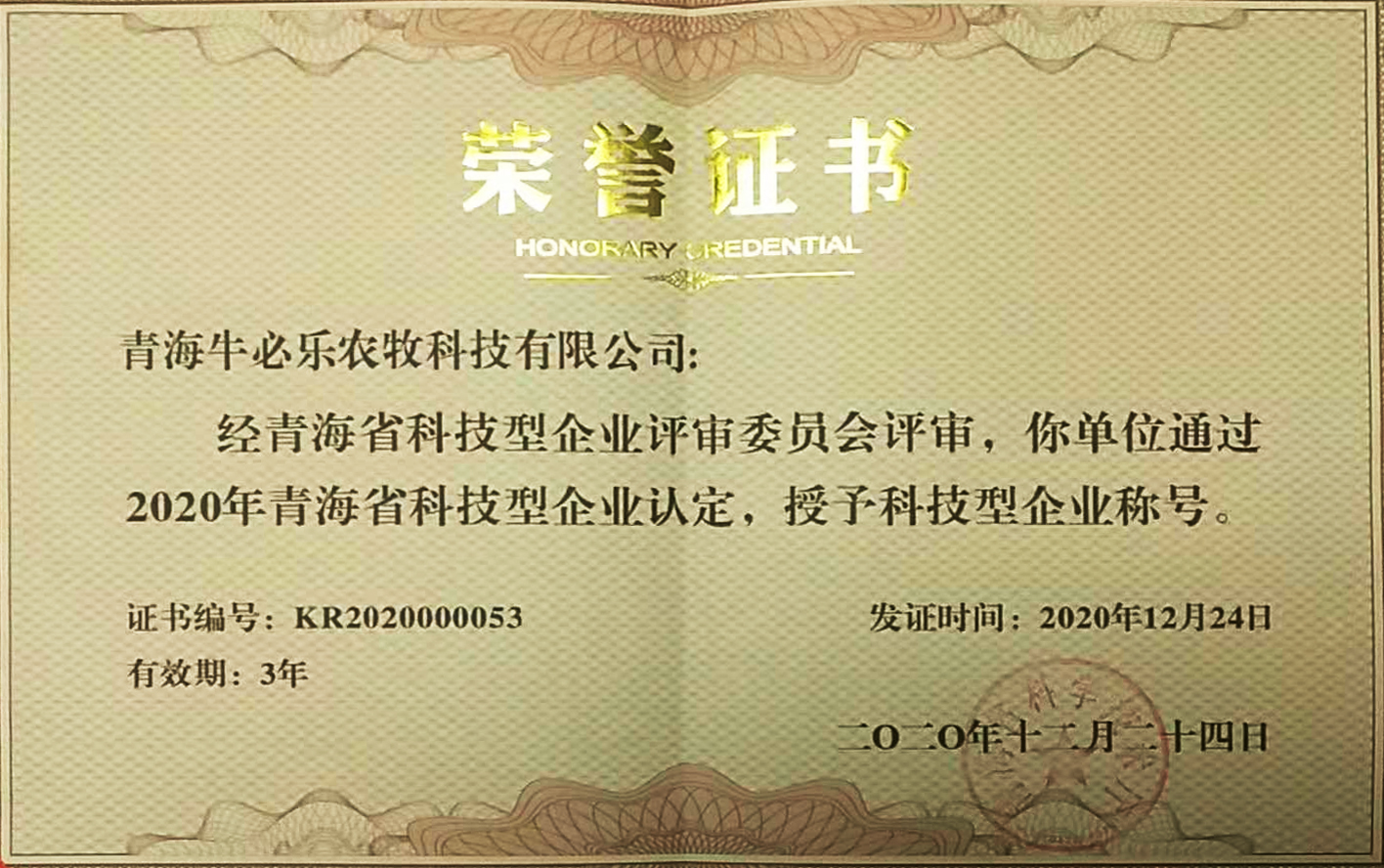 青海省科技型企業(yè)證書